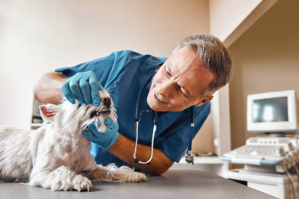 Best Emergency Tooth Extraction in Marlboro Village, MD
