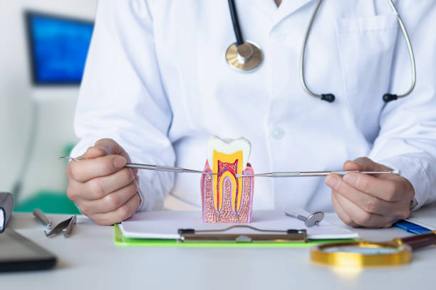 Best Pediatric Emergency Dentist in Marlboro Village, MD